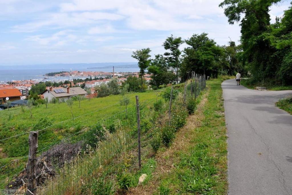 Apartment Izolanka / Great Location / Best Sea And City View Zewnętrze zdjęcie